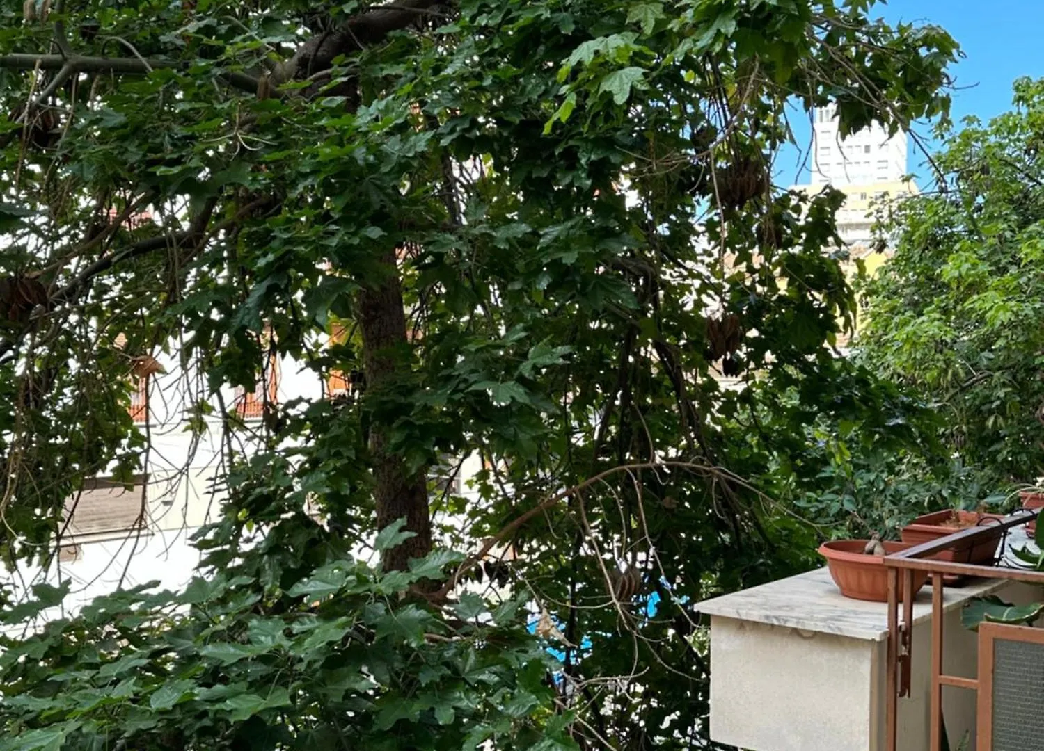 Di Fronte A Suite Palermo 0*,  Italia